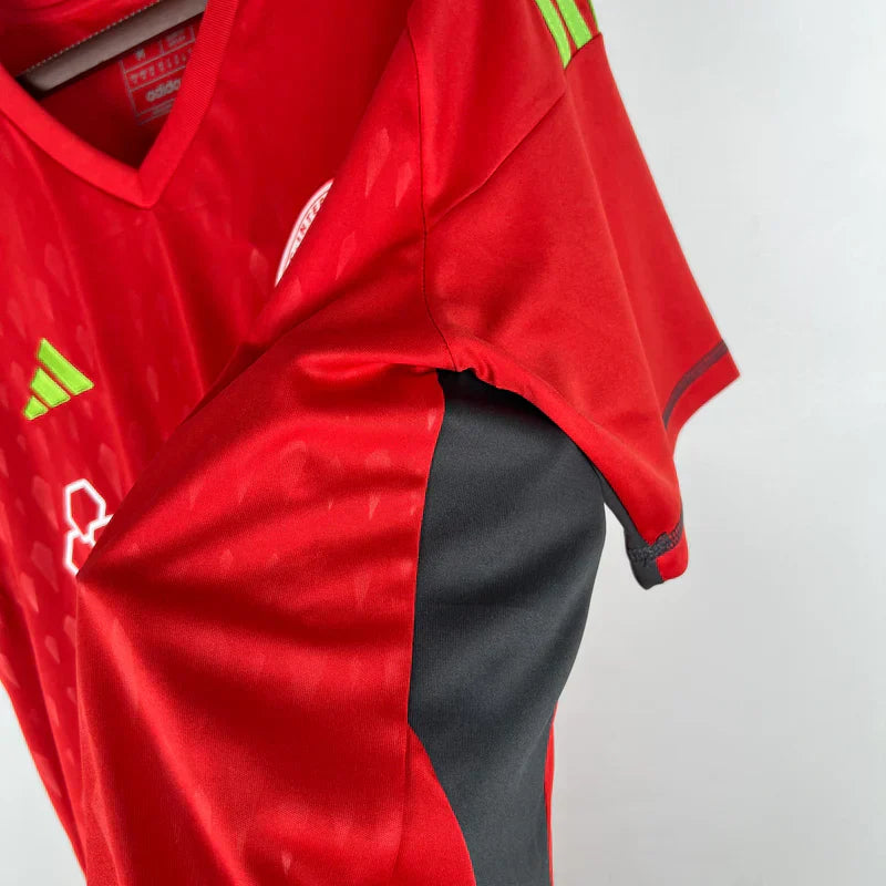 Camisa Masculina Internacional I 2023/24 - Goleiro
