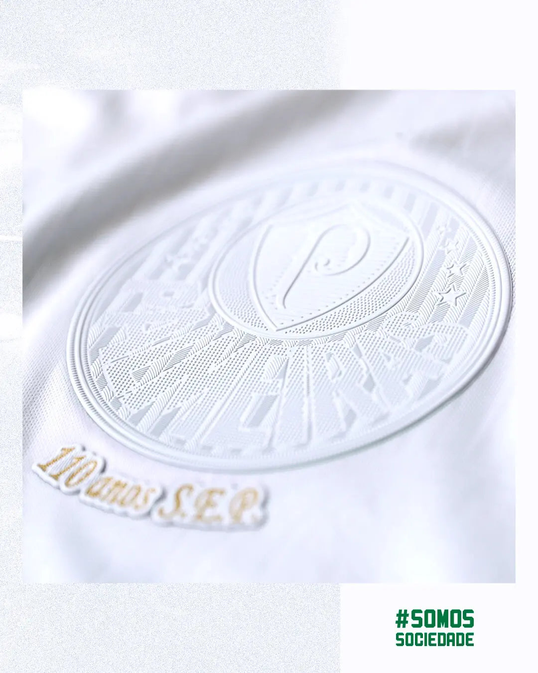 Camisa Masculina Palmeiras Somos Sociedade 2024/25 - Torcedor