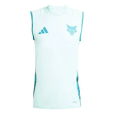 Regata Treino Cruzeiro 2025