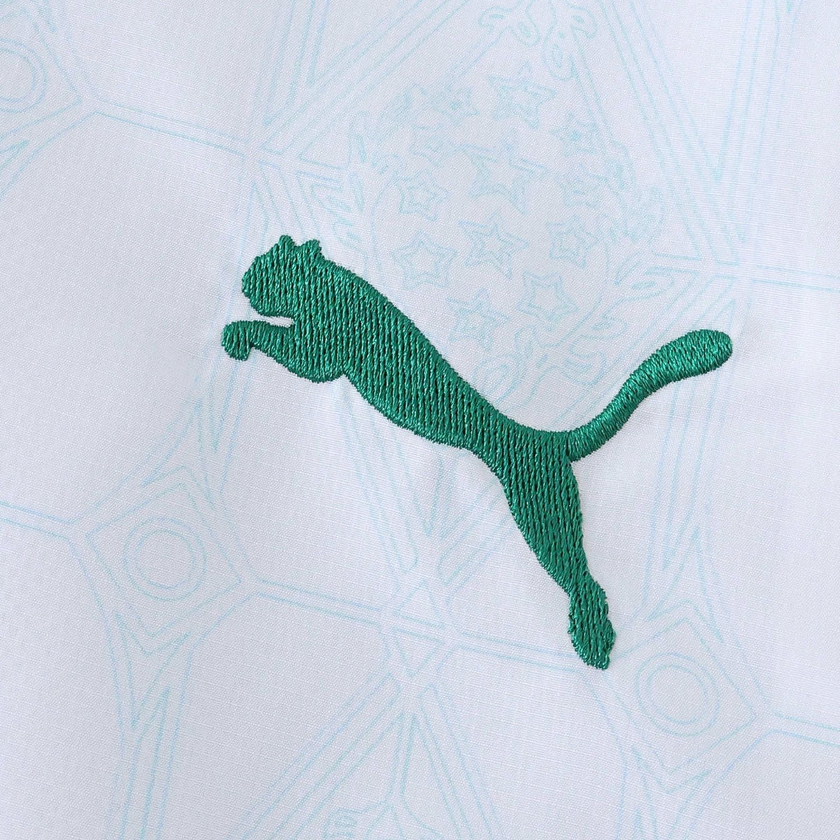 JAQUETA VERDÃO 2025/26 VERDE